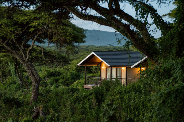 Lions Paw Tented Camp